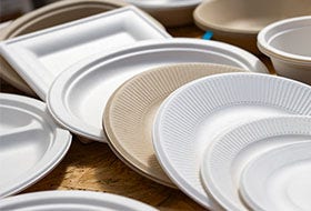 Assiettes jetables Assiettes jetables