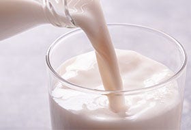 Pots à lait et écrémiers Pots à lait et écrémiers