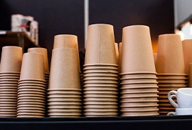 Tasses jetables Tasses jetables