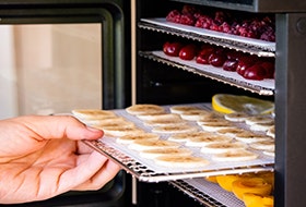 Déshydrateurs alimentaires Déshydrateurs alimentaires